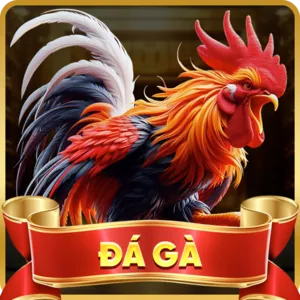 Hỗ trợ qua Điện thoại 68wim