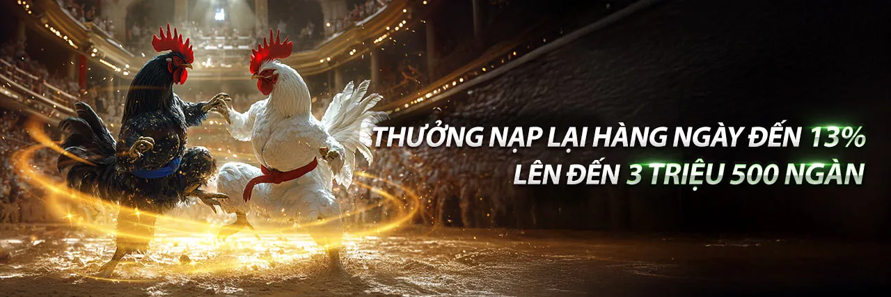 Hình ảnh đá gà trực tuyến kịch tính tại 68wim cổng game chính thức